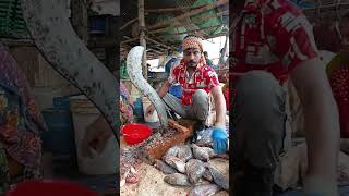 ASMR Giant Fish Cutting #Live | Real Market Experience | Dulal Fish Cutting #fish #fishing🦈🐋 #asmr