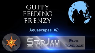 Guppy Feeding Frenzy   StarJam's Aquascapes #2   Happy Relaxing Music