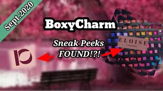 BoxyCharm September 2020 Sneak Peeks Found!?! | SelfTaught Beauty