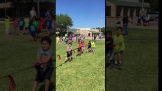 Ivan - Field day