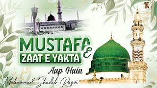 Kalam e Tajush Shariya | Mustafa e Zaat e Yakta Aap Hain By Muhammad Shadab Razvi | Al Hasan Network