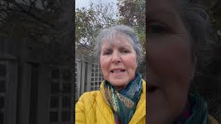 Kim's Thought for the day 03 11 25