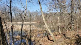 Geese at Holly Recreation Area
