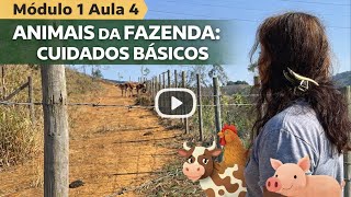Animais da fazenda: cuidados básicos