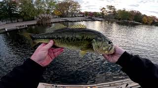 Bass Smacks the Fall Time Jig - 3.7lbs