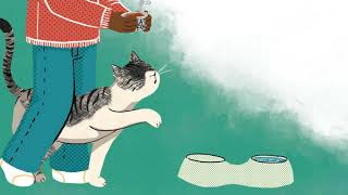 Cats /Gatos