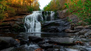 Relaxing music. Tendernes. Nature