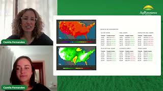 Óleo de soja lidera altas em Chicago e o Milho brasileiro segue pressionando com Safra Recorde