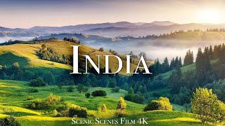 India Raw Beauty in Cinematic 4K