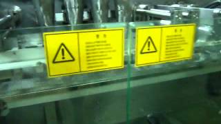 Pouch filling machine for powders