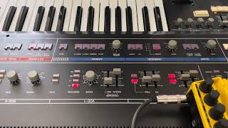 11/15/23 Roland Jupiter 6 + Peavey DDL-3 + Chase Bliss CXM 1978 (arpeggio ranges)