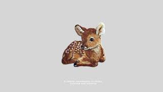 Creative Flow State | lofi [playlist 16].