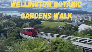 Wellington Botanic Gardens Walk - December 2025