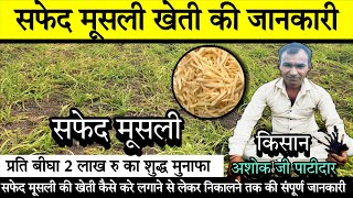 Cultivation of Safed Musli | How to cultivate Safed Musli | Complete information about Safed Musl...
