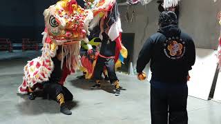 Guan Gong Day | August 2020 | AUS Jing Yee Lion Dance  | 澳洲精義醒獅團