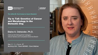 2024 Jeffrey M. Trent Lecture in Cancer Research - Elaine Ostrander