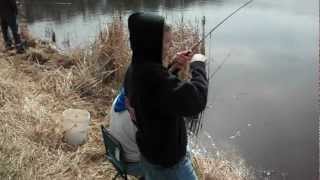 Early spring bluegill fishing
