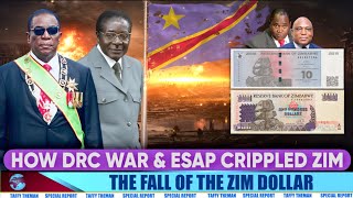 History of Zim Economic Collapse 