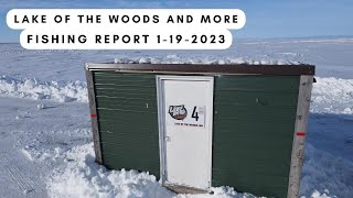 Lake of the Woods AND MORE | Ice Fishing Report 1-19-2023