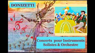 Gaetano DONIZETTI  - Concerts  pour Instruments Solistes & Orchestre : 2 sur 2 - Rias Sinfonietta