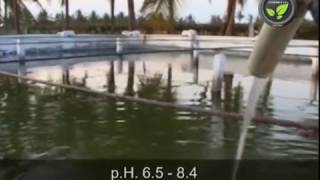 Alarming Groundwater Condition and Quality Standards of Water