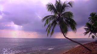 Leon Russell - Back to the Island