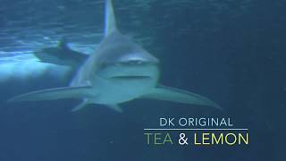 Tea & Lemon (music by DK)