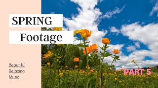 Beautiful Relaxing Music for Stress, Spring footage: Sleep, Meditation more Music. PART 5