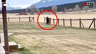 10 Bizarre Unsolved Mysteries That Can Not Be Explained