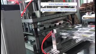 Pet container 15up mould in 3in1 Contact heat thermoforming machine Nov 600B with robot  1 1 2019081
