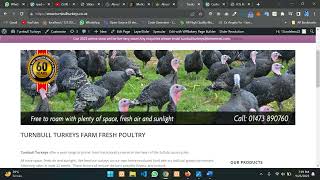 iPad 7th GEN Sidebar alignment problem - Specular – Multi-Purpose WordPress Theme