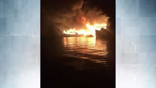 'Heart wrenching': Suspicious fire destroys several boats in Ladysmith