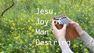 BWV147---Jesu, Joy of Man’s Desiring