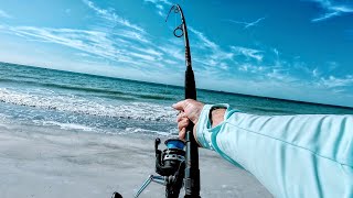 Sometimes Is Nothing Sometimes Is Something / Surf Fishing