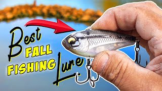 Best Fall Fishing Lure