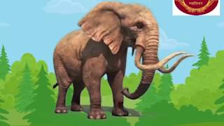 Hathi Aaya Hathi Aaya ||  Rhymes  || हाथी आया