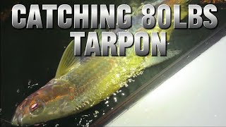 "EPIC CATCH: Landing a MONSTER 80lbs Tarpon in Miami, Florida!"