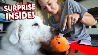 WE CUT OPEN HIS FAVORITE DOG TOY 😳