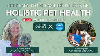 Unlock the Secret to Natural Dog Wellness: How Nutrition & Aromatherapy Can Transform Behavior