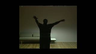 Madvillain (MF Doom + Madlib) - Rhinestone Cowboy (MUSIC VIDEO HQ 2024)