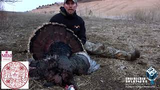 Special turkey hunt opportunity for youth and mobility impaired hunters set for next week.