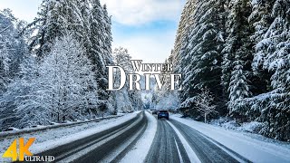 Scenic Snowy Drive 4K Ultra HD • Stunning Footage winter Driving, Relaxation Film with Calming Music
