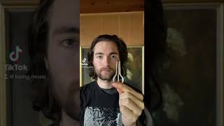 This is a mouth harp. (Jaw harp)