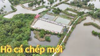 ✅ Review of the new carp fishing lake in Binh Chanh, Saigon | DUY FISHING