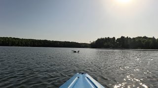 Crookneck Lake | Morning Kayak | Motley, MN | June 23, 2025