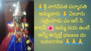 🌺🙏శ్రీ నాగదేవత పద్మావతి అమ్మవారు సత్రంపాడు ఎం ఆర్ సి కాలనీ ఏలూరు 🙏