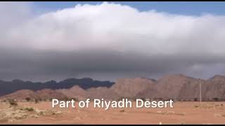 Winter Nature in Riyadh Desert #saudianature #winterinsaudi
