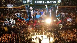 GSP knocks out bisping live