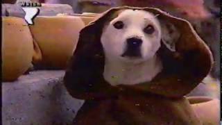 KMOS-TV, Ch. 6, Sedalia-Warrensburg, MO, Severe Weather Bug, From 5-8-2000