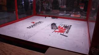 Cpt Hook Brawl 4